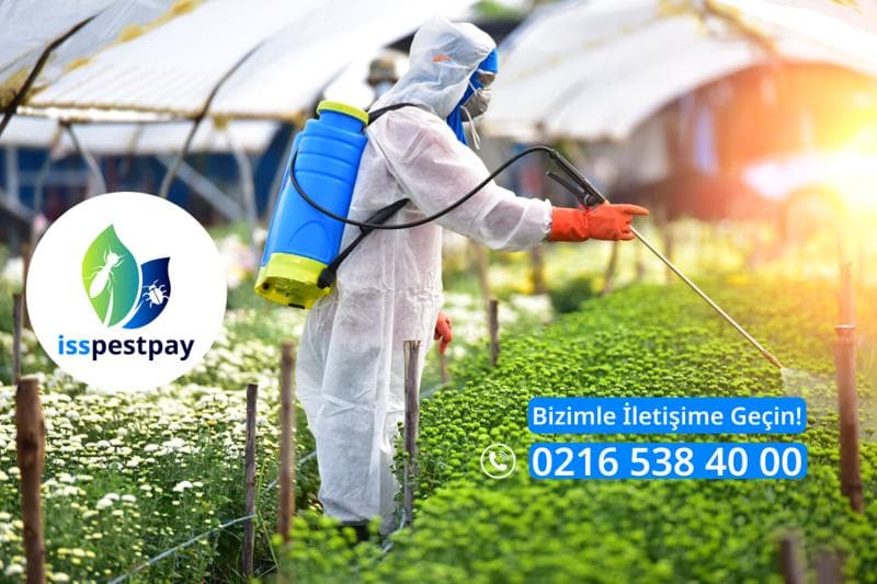 ISS_TR_Website PestHeader