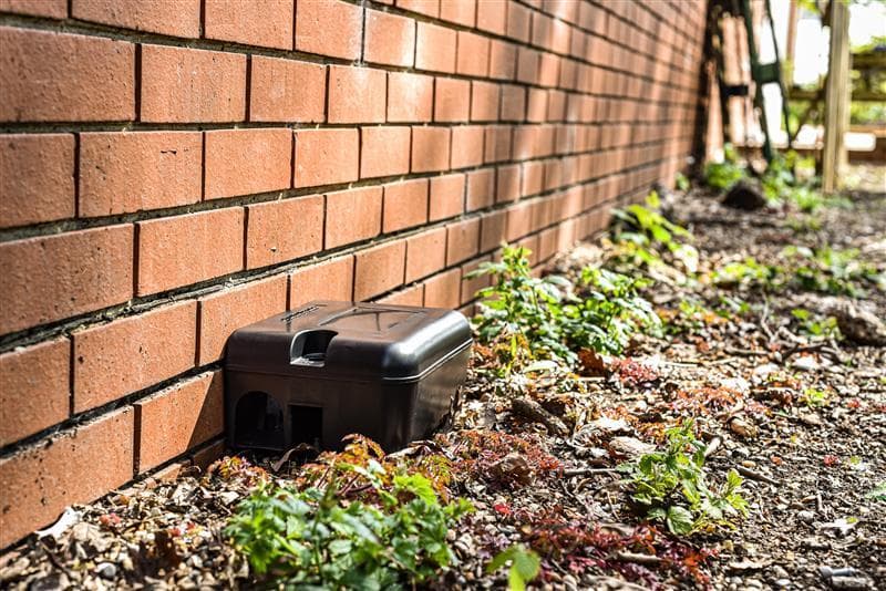 ISS_TR_Website RodentHeader