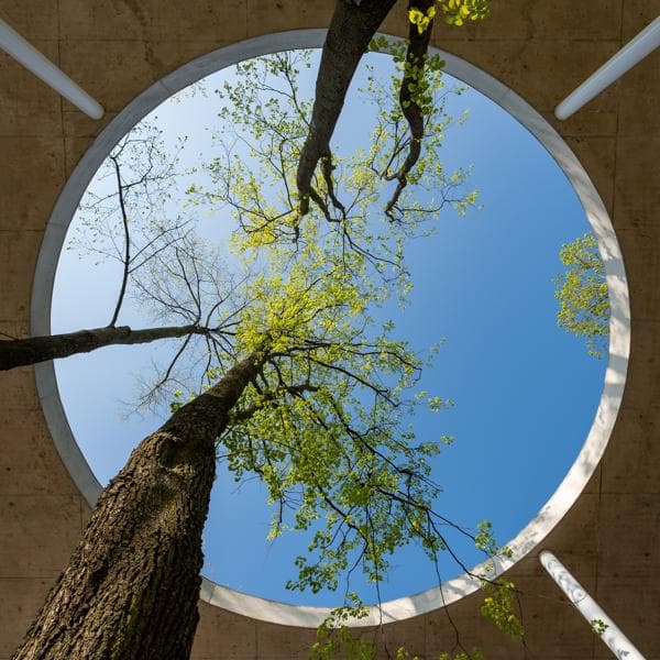 AdobeStock_422117203