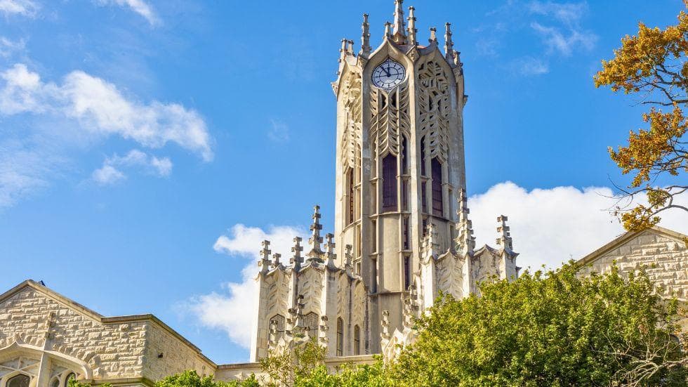 Adobe stock_University of Auckland