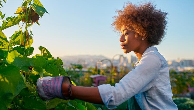 ISSNL - Trends in FM - Duurzaamheid in FM 2 - 424x240 062024