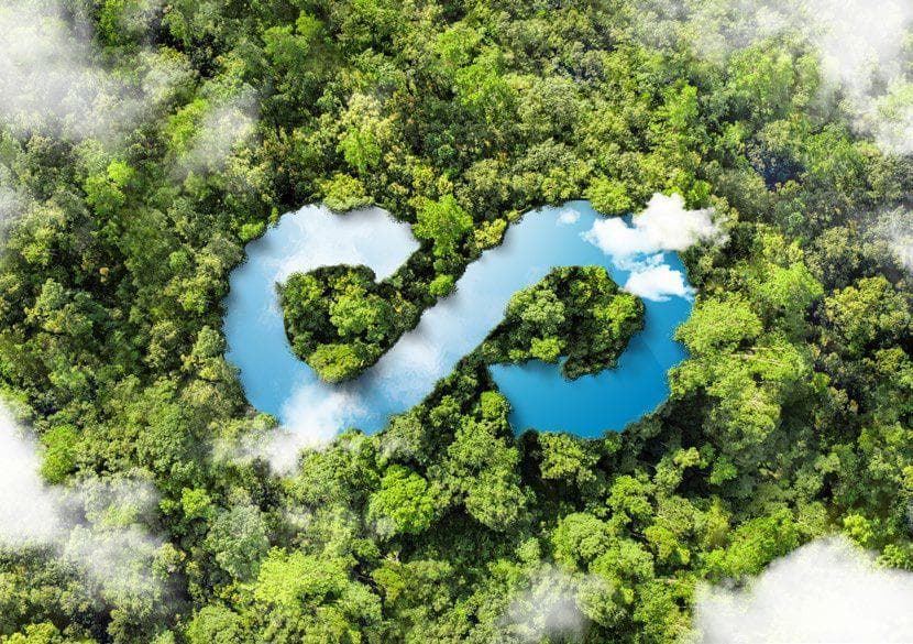 NL_Research paper Recover biodiversity_09-2025