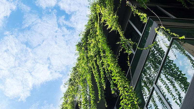 DE_Immobilienmanagement_10_09_Klimaschutzfahrplan_08_Green-Lease_AdobeStock_206679241